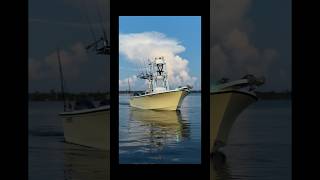 New whip 2014 parker 2501fishing boating spearfishing [upl. by Yelats]