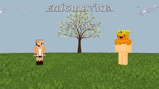 Enigmatica 6 Expert Ep 11 Blood Magic [upl. by Aleahcim]