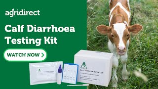 Calf Diarrhoea Testing Kit [upl. by Yelik777]