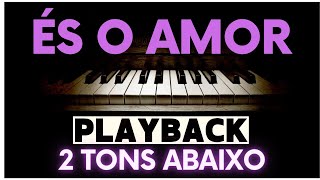 ÉS O AMOR  Playback Gabriela Rocha 2 TONS ABAIXO [upl. by Anelet875]