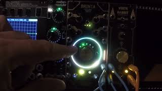 Brinta  White Rabbit Memo 2  Ambient Eurorack [upl. by Atteuqahc764]