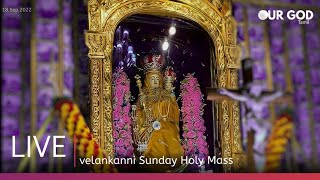 velankanni live mass today  velankanni live [upl. by Etnomed190]