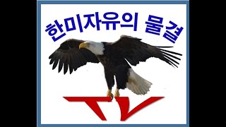 양산 제2연평해전 22주년 양산으로 복귀 하는 길 문가 5년 국정게이트 특검하라  한미자유의자유240629 [upl. by Ahsienor35]