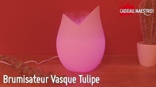 Brumisateur Vasque Tulipe  Cadeau Maestro [upl. by Submuloc]