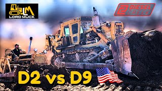 CAT D9H vs CAT D2  Kitty play time [upl. by Pessa414]