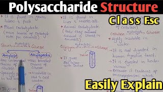 Polysaccharide Structure And Classification  Starch  Glycogen  Cellulose  Class 11 UrduHindi [upl. by Selym]