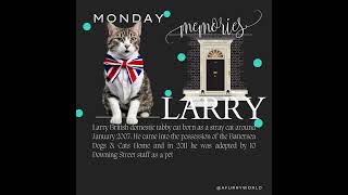 Larry the Downing Street Cat [upl. by Oiramad]