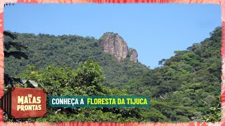 Floresta da Tijuca Conheça o parque Nacional mais visitado do Brasil  Turismo [upl. by Elvina]