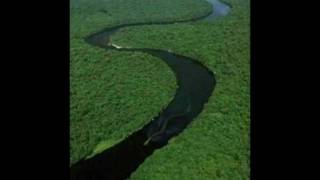 Nabau  Mythical Monster of Borneo In HD [upl. by Elamef]