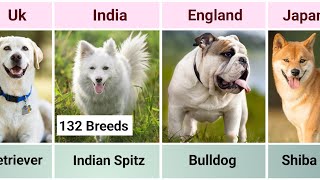 Dog Breeds From Different Countries  132 Dog breeds [upl. by Nairret]