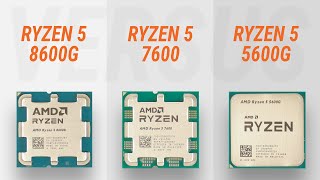 Ryzen 5 8600G vs Ryzen 5 7600 vs Ryzen 5 5600G w RTX 4090 Test in 7 games  Test Radeon 760M [upl. by Nylrac]