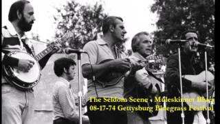 The Seldom Scene  Muleskinner Blues  1974 [upl. by Derzon710]