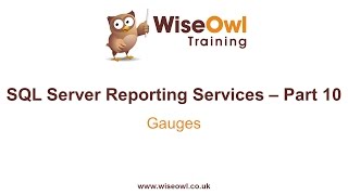 Reporting Services SSRS Part 10  Gauges [upl. by Rich327]