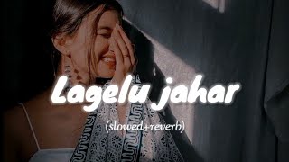 LAGELU JAHAR  slowedreverb  bhojpuri lofi song [upl. by Barthold]