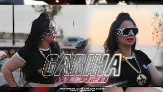 Cheba Warda × Tchikou 22  Gariha Tebrad و نتا آخر همي  Official Music Video   2024 [upl. by Vokay502]