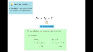 Introduction to Algebra  Part V  Lesson by HeyMath [upl. by Nevram]