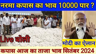 2024 में कपास के भाव में तेजी  आज का नरमा भाव  kapas ka bhav today  narma ka bhav today  Cotton [upl. by Atirres]