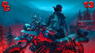 Days gone Жизнь после  Часть 13  Уехал на юг на поиски жены [upl. by Eisac329]