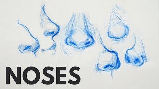 How to Draw Noses  My Tips and Tricks [upl. by Nanah471]