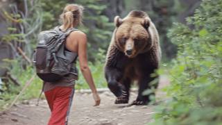 60 Times Bear Encounters Went Horribly Wrong Part 2 [upl. by Cathlene603]