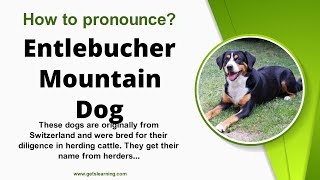 How to pronounce Entlebucher Mountain Dog in English Correctly [upl. by Stutzman778]