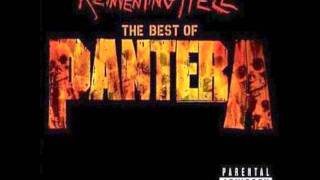 Cemetery Gates  Pantera HQ Audio [upl. by Andee]