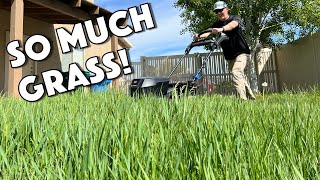 Testing out our New Zero Turn Lawn Mower in Tall Wet Grass  Toro ZMaster 4000 HD 60quot Mower [upl. by Ellehcin]