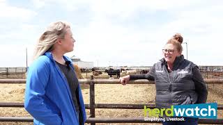 AgVentures by Herdwatch  Episode 5 The Gabel Farm Operation in Colorado [upl. by Kym957]