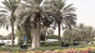 Sony HDRXR150 Full HD Camcorder  Video test [upl. by Imekawulo]