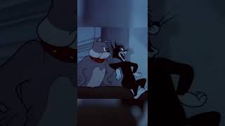 Lost in Translation  Tom amp Jerry  Cartoon Network UK  shorts [upl. by Noell]