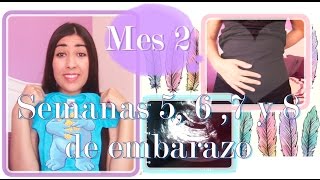 Mes 2 💕 EMBARAZO💕 Semanas 567 y 8 Este bebé viene guerrero Muchos síntomas y ecografías [upl. by Aleciram]