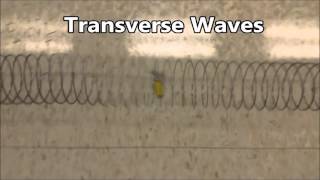 Transverse and Compression Waves Class Labs on Oct 27 and 28 [upl. by Nett158]