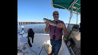 Trout Fishing in New Bern NC [upl. by Enimsaj364]