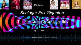 Discofox amp Schlager Hits Top 30  by DJ Calle [upl. by Assenev]