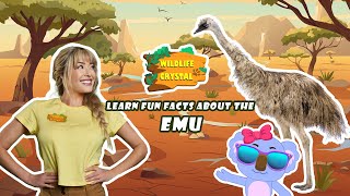 Emu Facts [upl. by Sutherland439]