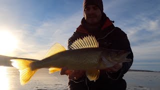 Early Ice Fishing Walleye Locating on New Structure [upl. by Elna]