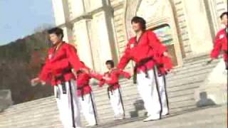 Poomsae Taekwon Dance Taegeuk 1 Jangmpg [upl. by Nnayllas]