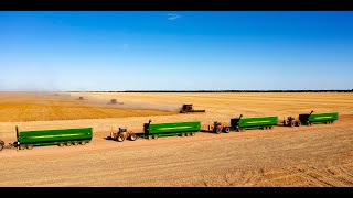 Erangy Farms taking off a bumper crop with four 45 headers combines in the Mid West of WA [upl. by Nolak]