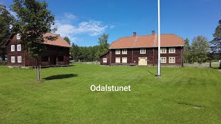 Sykkeltur 2024 07 30 Skarnes og Odalstunet [upl. by Tulley159]