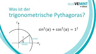 Was ist der trigonometrische Pythagoras [upl. by Aisanahta]