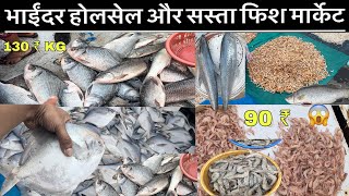 Bhayendar Fish Market  Wholesale Fish Market  Cheapest Fish Market in Mumbai  Mumbai Fish Market [upl. by Eelidnarb]