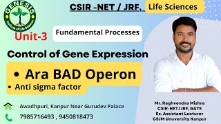 Ara BAD Operon  Gene regulation  Molecular Biology [upl. by Ahsaeym]