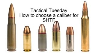 Tactical Tuesday How to choose a caliber for SHTF [upl. by Nadnerb]