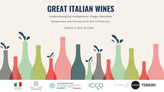 Great Italian Wines Understanding Indigenous Grape VarietiesSangiovese Vernaccia di San Gimignano [upl. by Anawit]