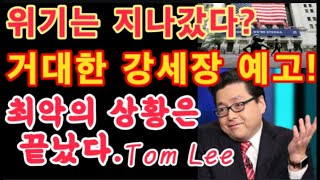 위기는 지나갔다 거대한 강세장 예고한 Tom Lee 최신 인터뷰 최악의 상황은 끝났다  테슬라 투자  Tesla 주가  미국 증시 [upl. by Ndnarb]