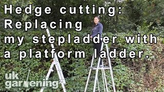 Hedge cutting Replacing my stepladder with a platform ladder [upl. by Niroht250]