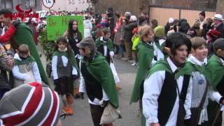 Malsch Impressionen vom Fasnachtsumzug 2015 [upl. by Agathy]