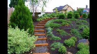 Escaleras en los Jardines [upl. by Morty]