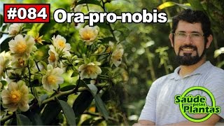 Saúde Pelas Plantas  Orapronobis emagrecimento antienvelhecimento cicatrizante [upl. by Inahc]