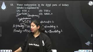 Water reabsorption in the distal parts of kidney tubules is regulated by [upl. by Annmaria]